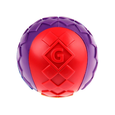 Gigwi Ball Pelota Para Perros Masticable Super Resistente