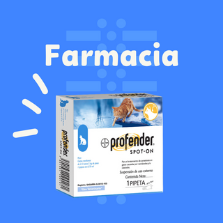 Farmacia