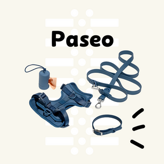 Paseo