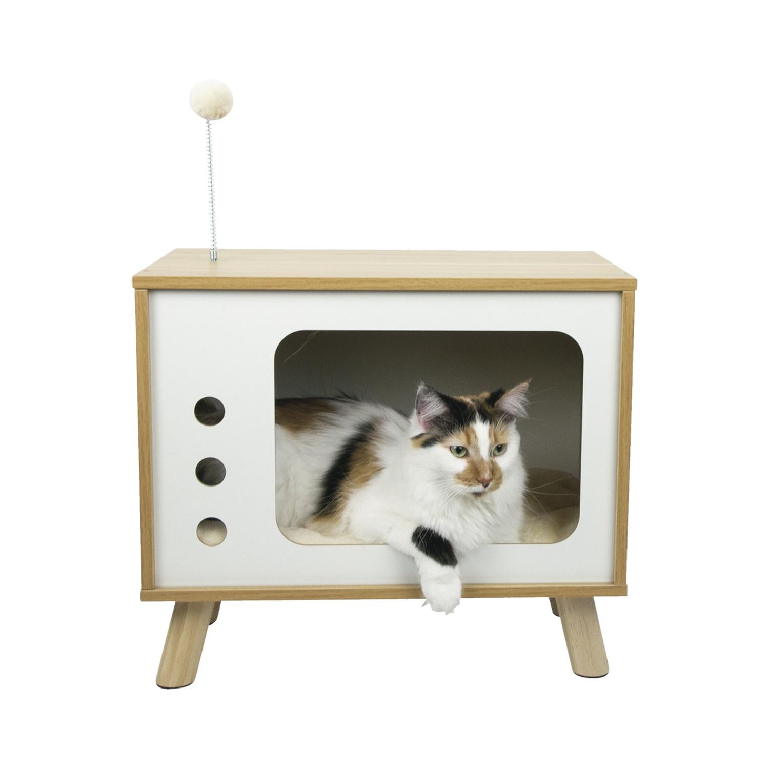 Esenciales para Gato