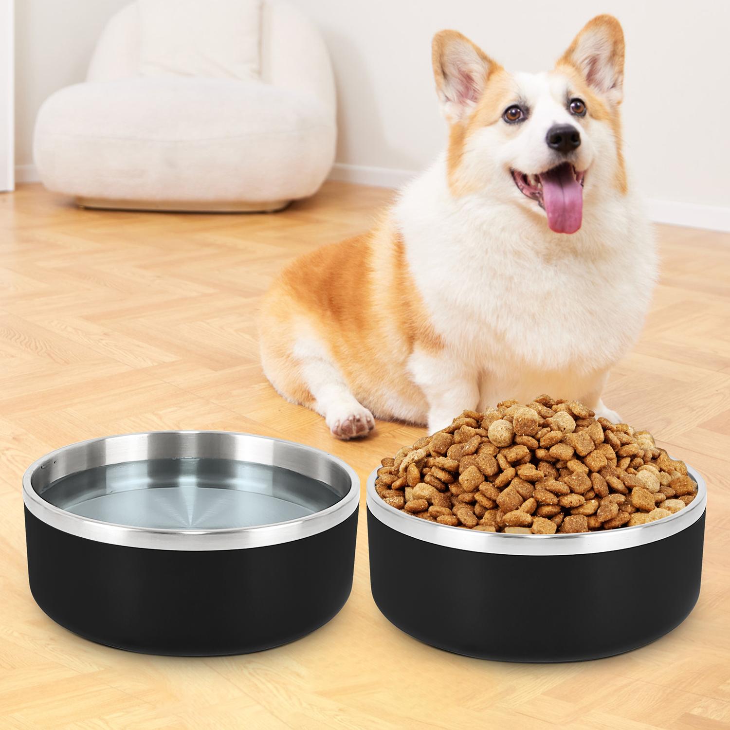 Esenciales para Perro