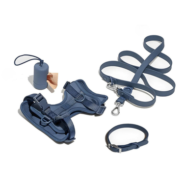 Conjunto Premium De Accesorios Para Paseo Para Perro Y Gato