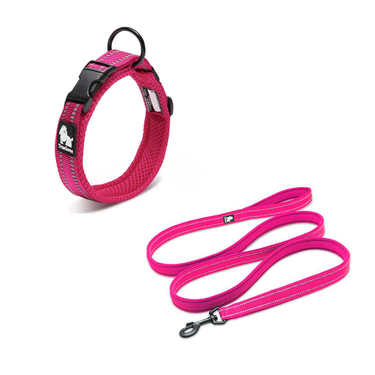 Conjunto de Collar y Correa Ultraresistente