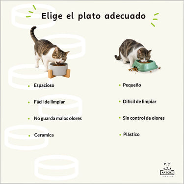 Plato de Cerámica Con Base de Bambú Para Perros y Gatos