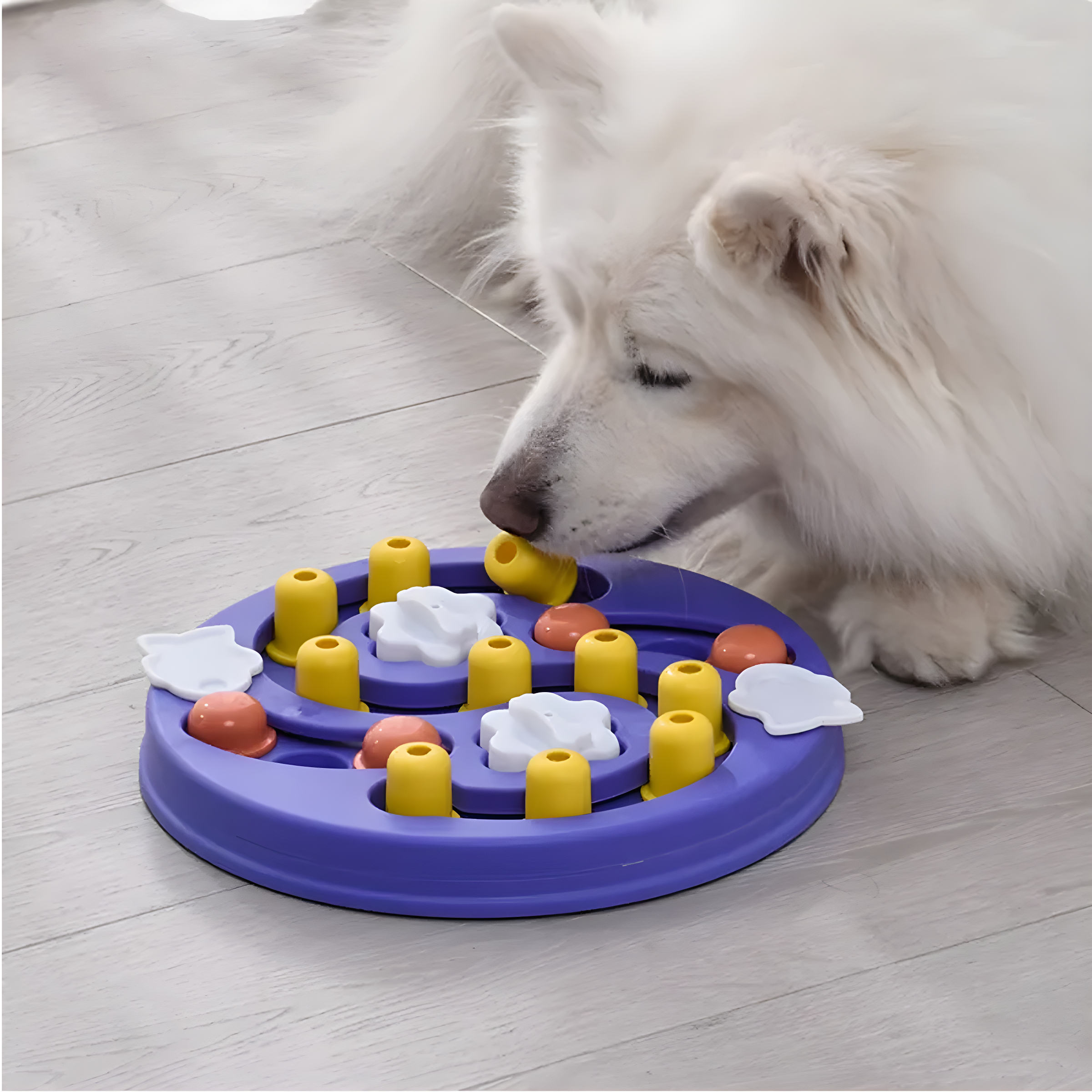 TVMALL Orbit Ball - Juguete interactivo para perros, dispensador de  alimentos, alimentador grande y pequeño, juguete para gatos y perros, bola  de