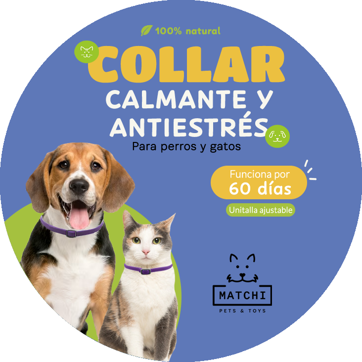 Collar De Feromonas Calmante Antiestrés Para Gatos, Alivio De Ansiedad