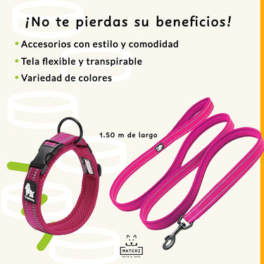 Conjunto de Collar y Correa Ultraresistente