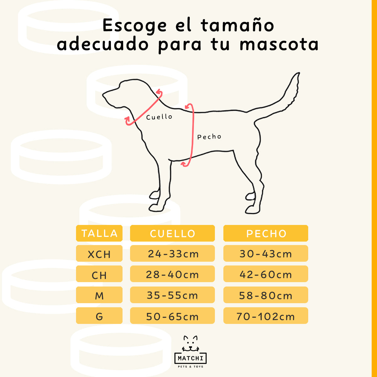 Conjunto Premium De Accesorios Para Paseo Para Perro Y Gato
