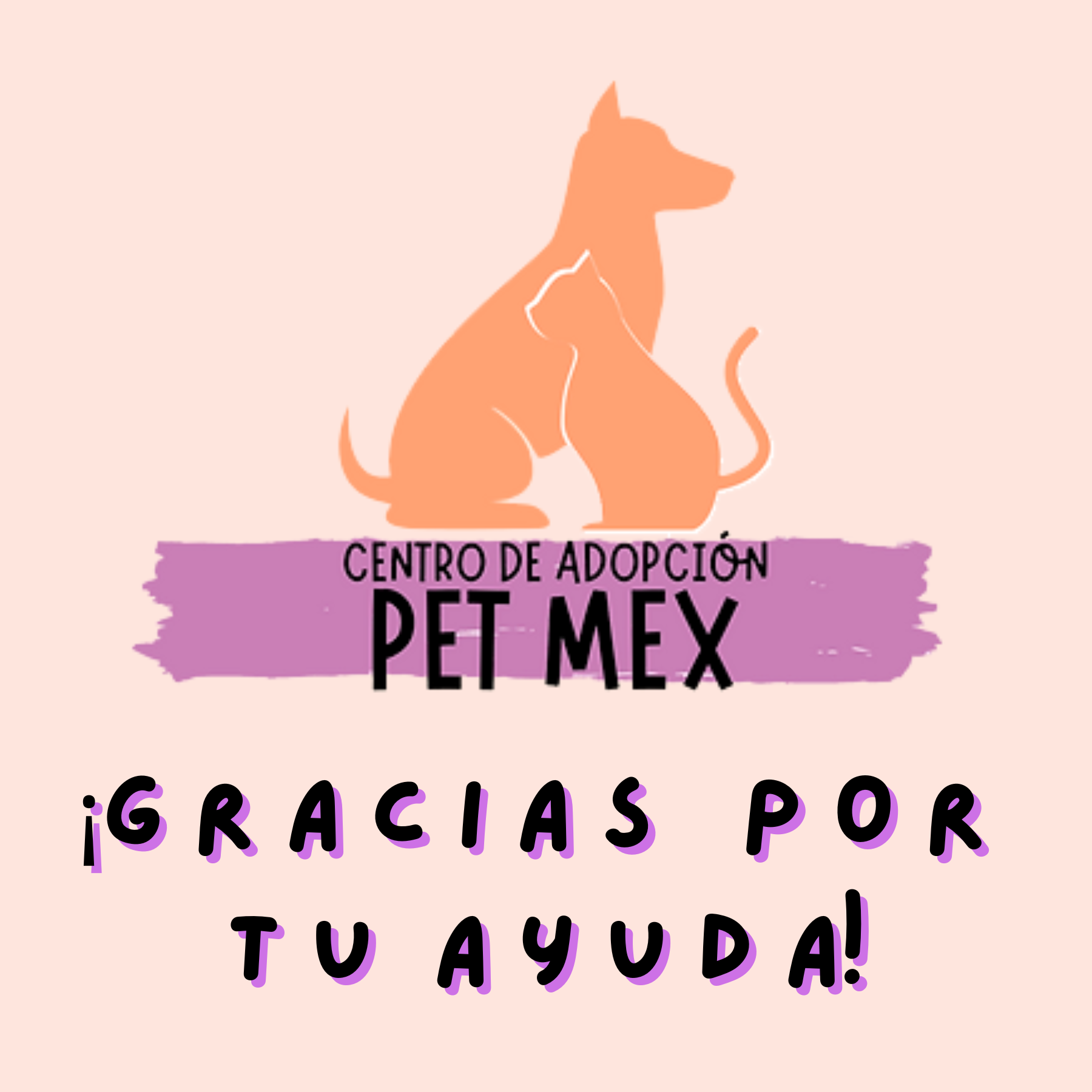 ¡Ayúdanos con una donación!