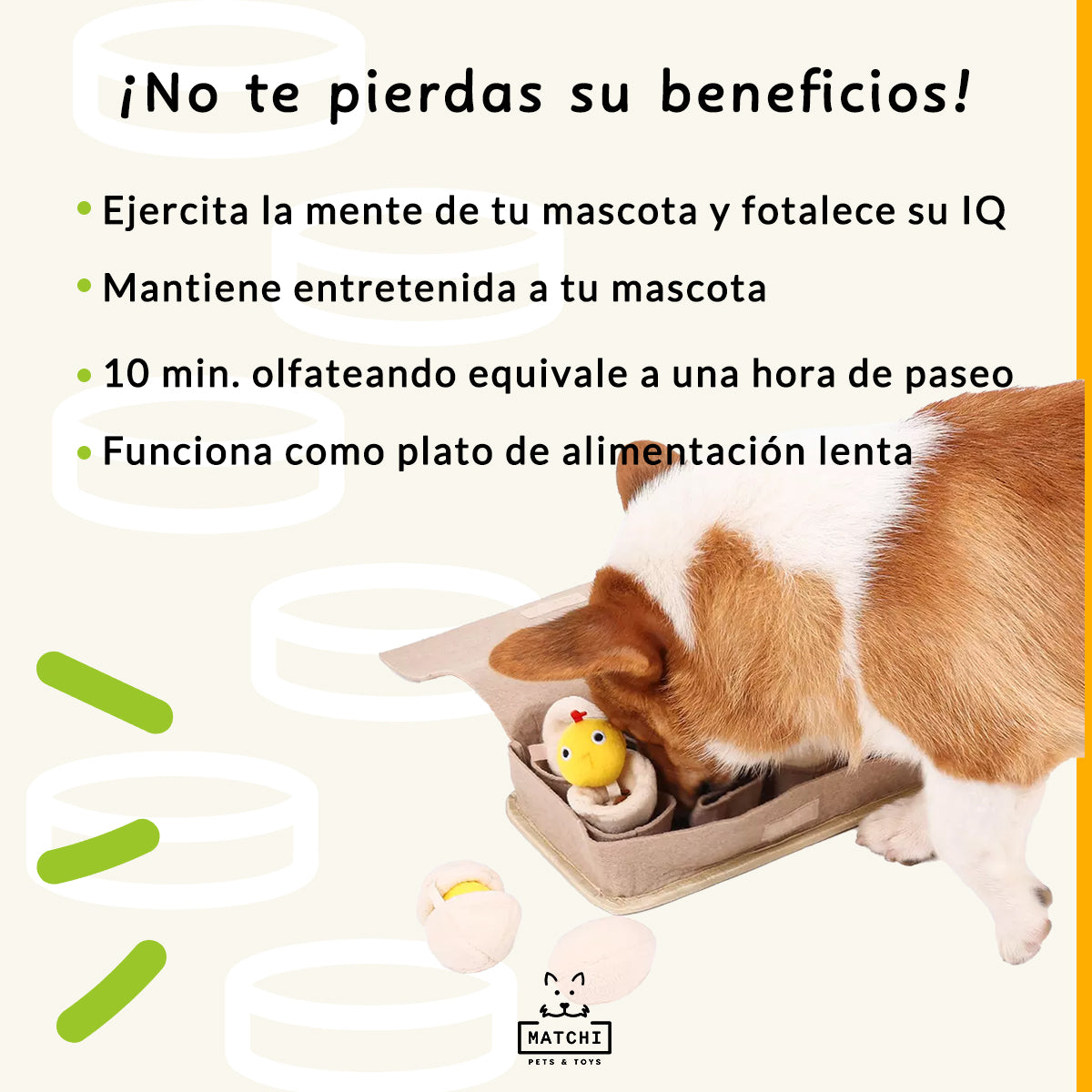 Caja de Huevos Juguete Olfativo para Esconder Premios
