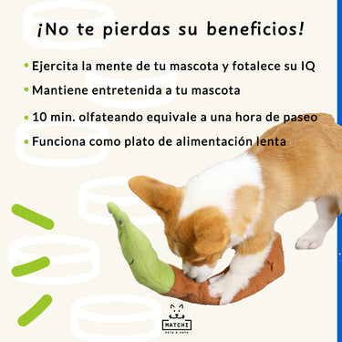 Caracol Interactivo para Esconder Premios, con Silbato Chillón