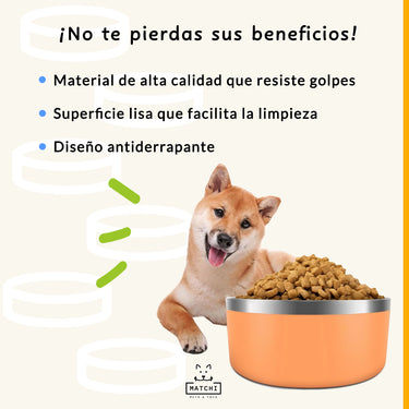 Plato de Acero Inoxidable Tazón Antiderrapante para Perros y Gatos de 1.3L