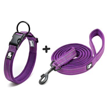 Conjunto de Collar y Correa Ultraresistente