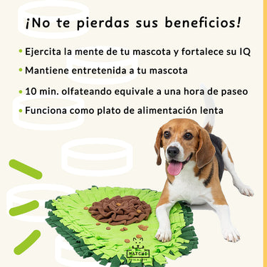 Tapete Olfativo en Forma de Aguacate, Entrenamiento para Olfatear, para Perros y Gatos