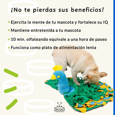 Pavoreal Tapete Olfativo para Esconder Premios, con Silbato Chillón