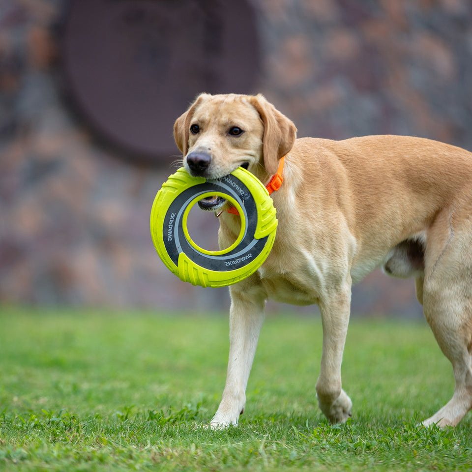 Frisbee Resistente A Mordidas Para Perros Ligero MatchiStore