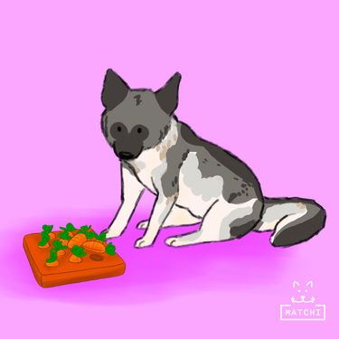 Juguete Interactivo Cosecha de Zanahorias, Entrenamiento para Olfatear